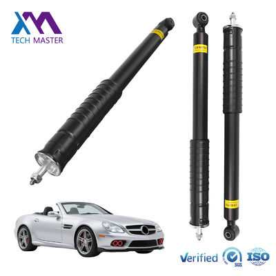 Coilovers Coil Suspension For R171 Rear Strut Shock Absorber 1713260200