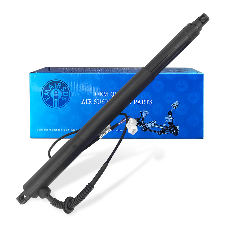 Wyróbki elektryczne dla BMW X6 E71 E72 2007-2014 LH / RH OEM 51247332697 51247332698