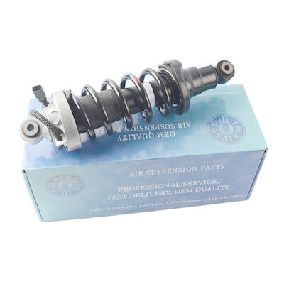 Amortyzator tylnego zawieszenia pneumatycznego Audi R8 420512019AL 420512020AL